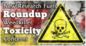 Thanks, Monsanto and FDA! New Study Expresses Grave Concerns Over Deadly Levels of Roundup US, World Wide