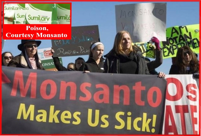 Poison in the Drinking Water to Add to Poison in the Food. All This and Deformed Babies, Too. Thanks, Monsanto!