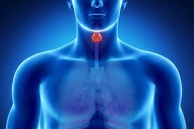 Thyroid Symptoms Persist for Many People Despite Normal Lab Tests. The Answer May Be Nutritional