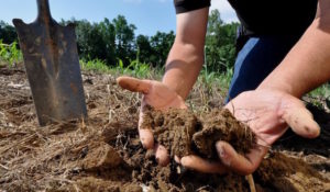 The Solution Might Be Right Under Our Feet: Scientists Suggest Soil May Hold The Key To Climate Change