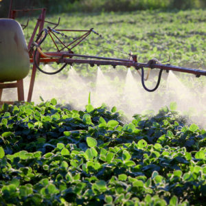 Fungicides May Cause Damage To Brain, Mimic Effects Of Autism, Neurodegenerative Disorder