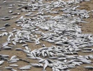 The Biggest Threat To Life On Earth May Be A Substance That Is Found Here Naturally