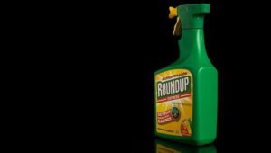 France joins other EU countries in planning to vote against glyphosate re-approval