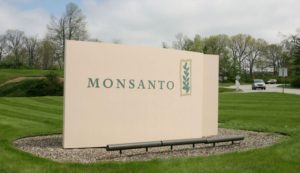 Monsanto In Conflict With Government Of Argentina Over Royalties Collected On Its GMO Seeds