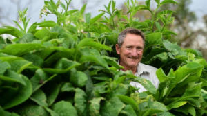 New Health Complaints Law Heralds An Effective Abolition Of The Right To Practice 17 Popular Natural Health Therapies