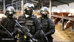 How Growing Lemons Or Raising Bees Could Bring a SWAT team to you door: Massive Overreach by USDA and EPA