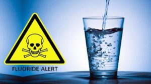 Jason Woodforth from Health Australia party Talks About Fluoride Being A Toxic Poison