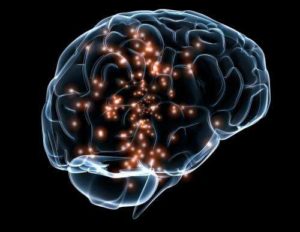 How Smart Is Smart? Using An MRI To Quantify Human Intelligence