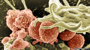 Drug-Resistant Bacteria Reaching Crisis Levels: Alarming Rise In Cases Of Sepsis May Herald True Crisis