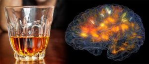 Better Make It A Double: Scientists Isolate Neurons That Tell You To Stop Drinking Alcohol