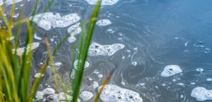 Looking For Drugs In All The Wrong Places: Survey Finds 100 Percent Of Streams And Waterways Tested Contain Pharmaceuticals