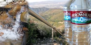 Good-bye California: Nestlé Waters Receives Gift Ruling From Judge On Water Depredation