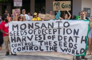 Alarming: Monsanto and Bayer Combined Would Be Selling Nearly A Third Of The World’s Seeds