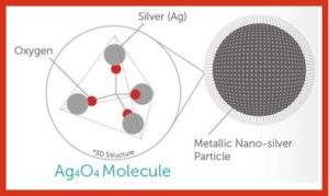 Silver Nanoparticles as Potential Antiviral Agents