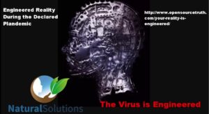 The Virus is Engineered