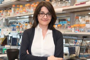 #Don’t You Dare mRNA Vaccines Damages Cancer Suppression, Says Sloan Kettering Study