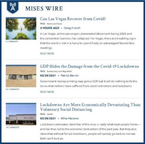 The Economic Consequences of the Lockdowns