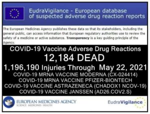 EU Jab Deaths:  12,184