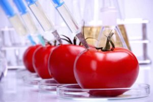 Parallels Between GMO Covid Vaccine and GMO Crops – Lessons Not Learned
