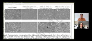 New Study Set to Disprove Virology (Video)