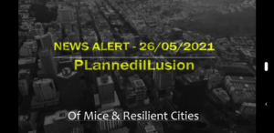 Plannedillusion News Alert – Australia Weaponized Mice Invasion – Resilient Cities