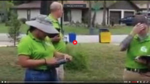 Green Shirts – COVID Canvassing is a Very Bad Idea
