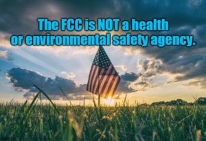 Professor Files Amicus Brief in FCC Lawsuit in re Starlink Broadband Satellites Approved without Environmental Review
