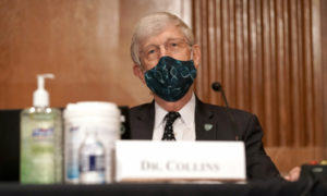 National Institutes of Health Head: Businesses Should Require Vaccine Credentials From Customers