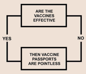 Did The CDC Director Just Accidentally Admit That Vaccination Passports Are Futile?