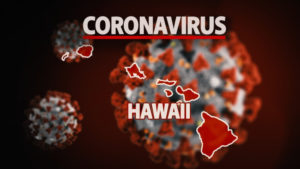 Georgia couple arrested for visiting Hawaii with fake vaccination cards
