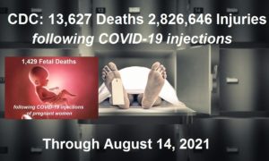 Official U.S. Government Stats on COVID Vaccines: 13,627 Deaths 2,826,646 Injuries 1,429 Fetal Deaths in Pregnant Women