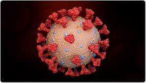 The Killer in the Bloodstream: the “Spike Protein”