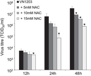 N-Acetylcysteine to Combat COVID-19: An Evidence Review