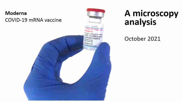 Moderna under the Microscope