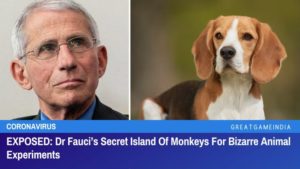 EXPOSED: Dr Fauci’s Secret Island Of Monkeys For Bizarre Animal Experiments