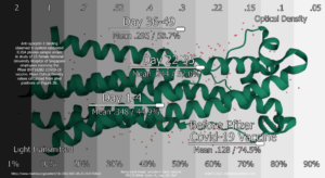 What Happened in Singapore?