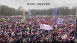 Brussels – What Really Happened