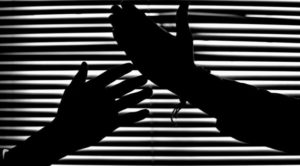 Top health official: We misled parents to scare them into vaccinating kids