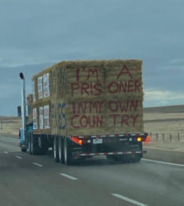 Why So Much on Freedom Convoys?