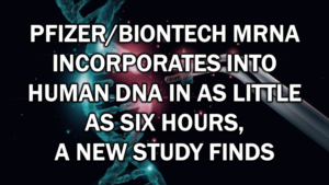 Pfizer/BioNTech mRNA Incorporates into Human DNA In as Little as Six Hours, A New Study Finds