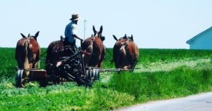 Armed Feds Pay a Visit: Amish Farmer Faces Hundreds of Thousands in Fines