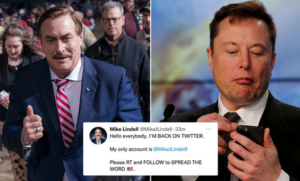 Er…What, Exactly, Does Free Speech Mean on Twitter?