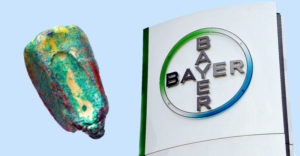 Bayer and Other Seed and Pesticide Companies Pressured Researchers to Omit Pictures and Results from Study