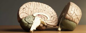 Fatal brain disease linked to COVID jabs